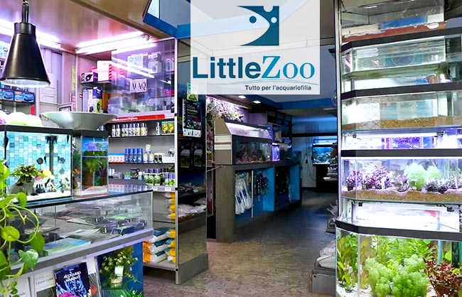 LITTLE ZOO